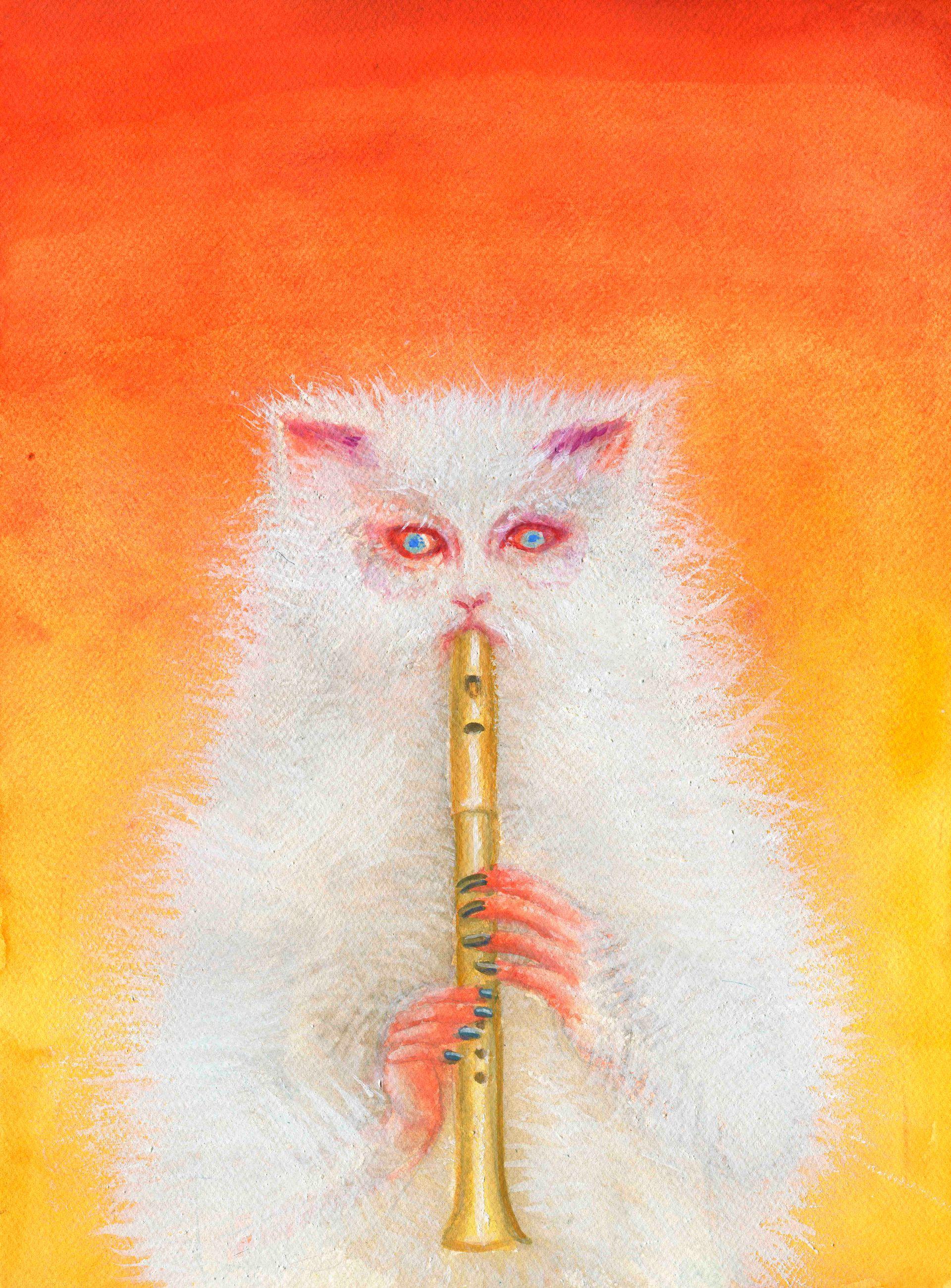 [Z archiwum K MAG] Aleksandra Waliszewska: „Feminizm dopóty był fajny, dopóki…”