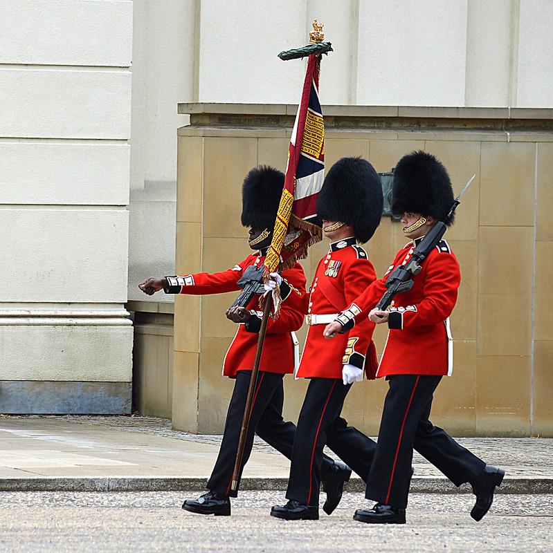 Czy rząd Wielkiej Brytanii weźmie się w końcu za futrzane czapki Gwardii Królewskiej?
