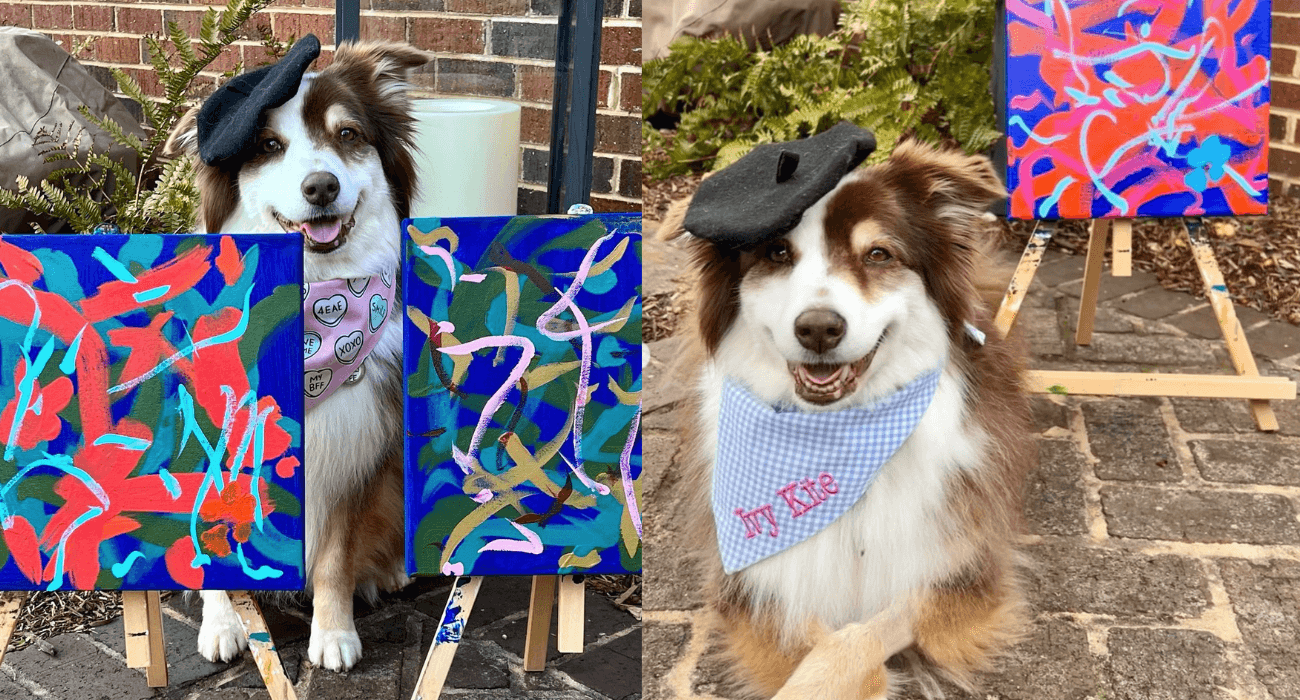 Suczka Ivy maluje obrazy, tylko w 2022 zebrała 8 tys. dolarów na cele charytatywne