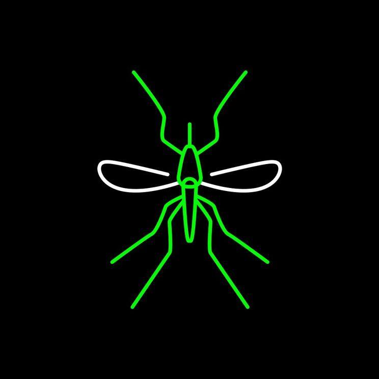 MOSKITY K MAG-a rozdane! Zobaczcie, do kogo powędrowały nasze nagrody