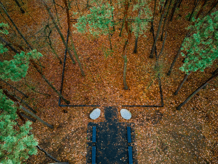 Biodegradowalne urny zamiast nagrobków. W Poznaniu otwarto drugi Las Pamięci