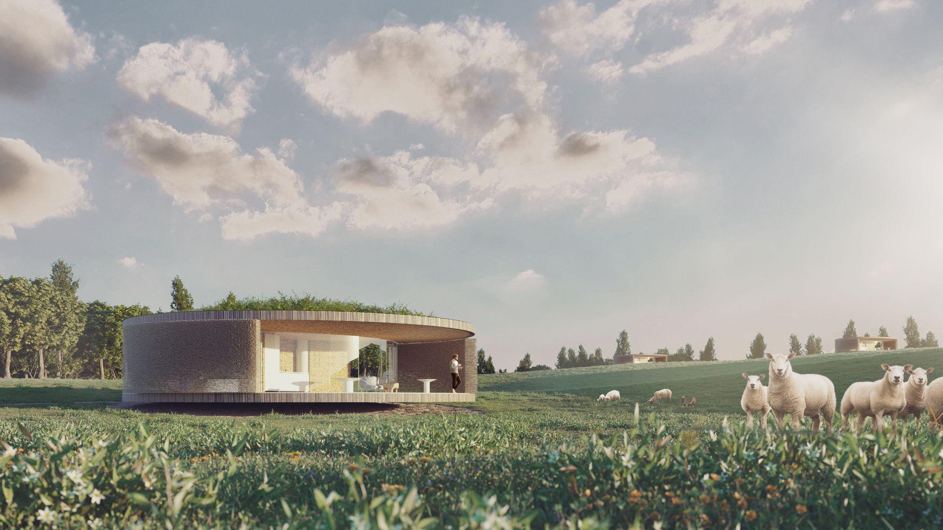 Domki w Wierzchowiskach z wierzby  energetycznej? Poznajcie niezwykłe projekty Mirosława Nizio!