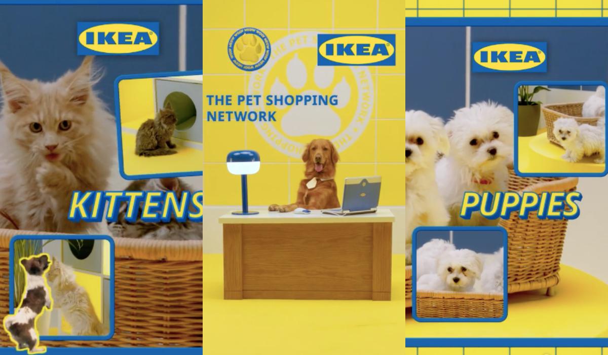 IKEA zaprezentowała na TikToku nową kolekcję dla zwierząt
