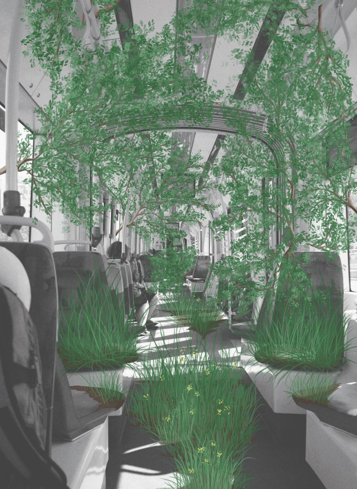 Design on point: Kłącze / Rhizome