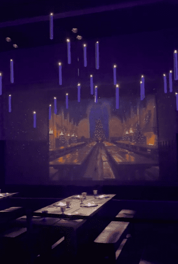 Wystawa Harry’ego Pottera w Polsce – wszystko, co trzeba wiedzieć!