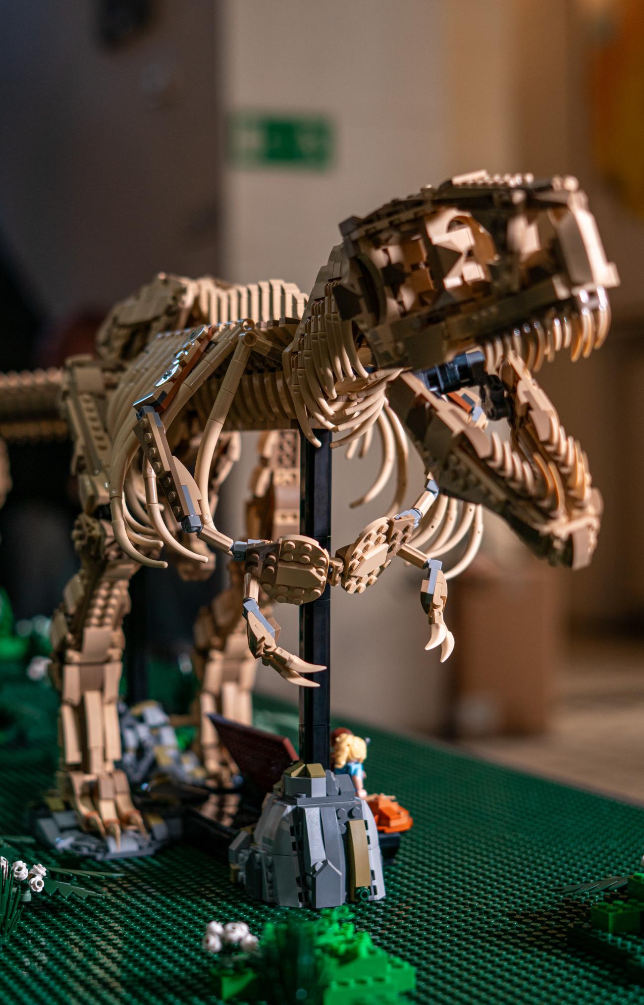 Prehistoria z klocków: metrowy Tyranozaur debiutuje w Muzeum Geologicznym