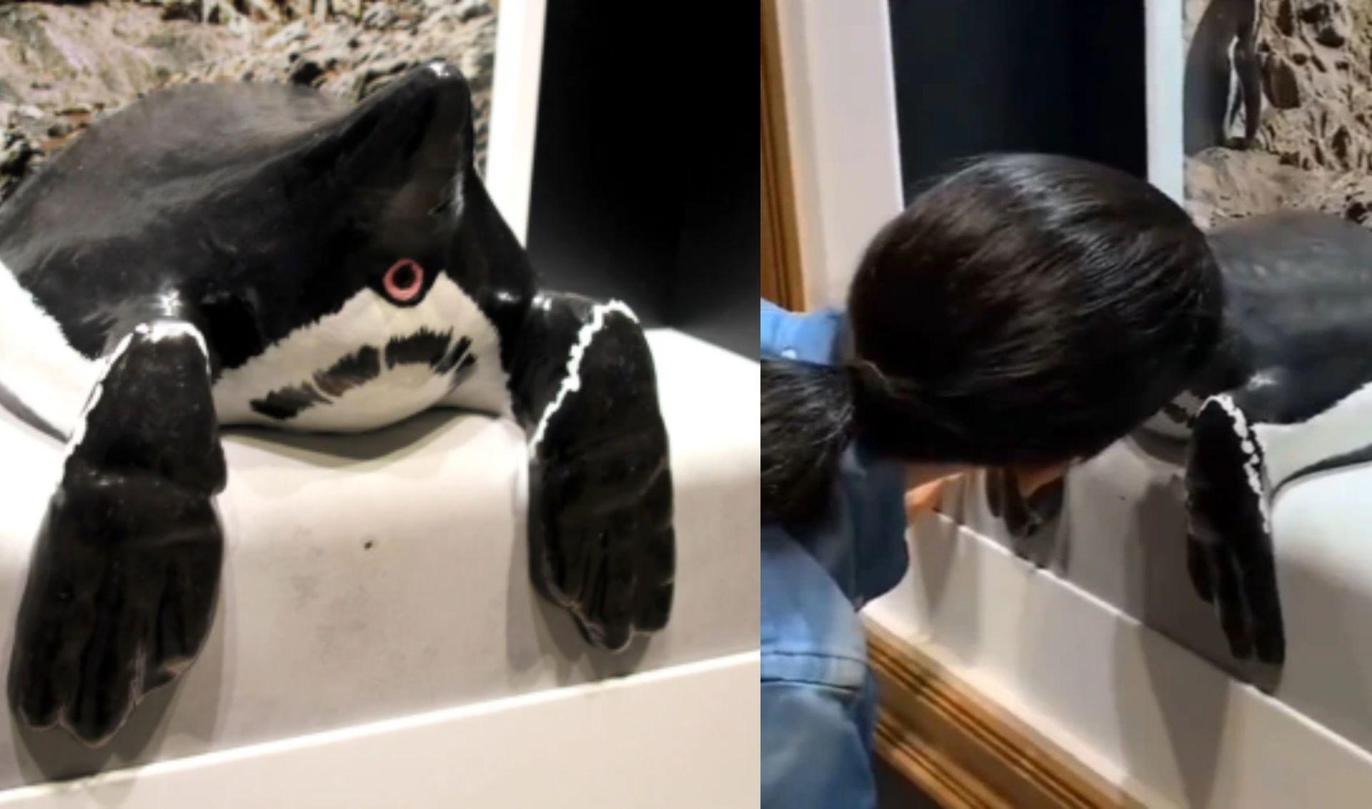 W Japonii otwarto muzeum z zapachami zwierzęcych odbytów. Chętnych nie brakuje [WIDEO]