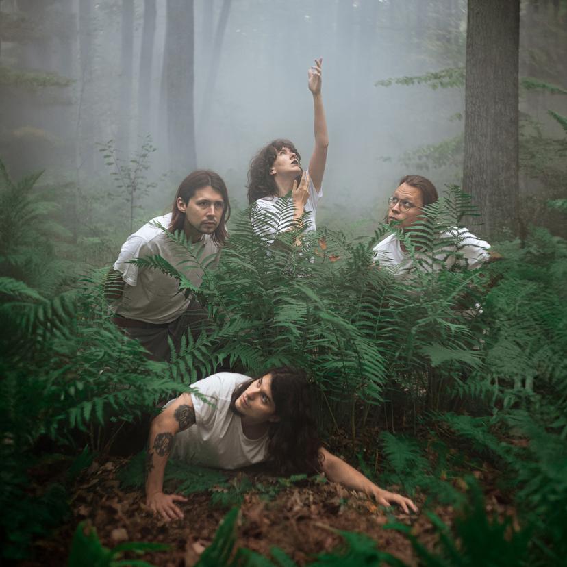 zdjęcie: SNAKES SNAKES SNAKES