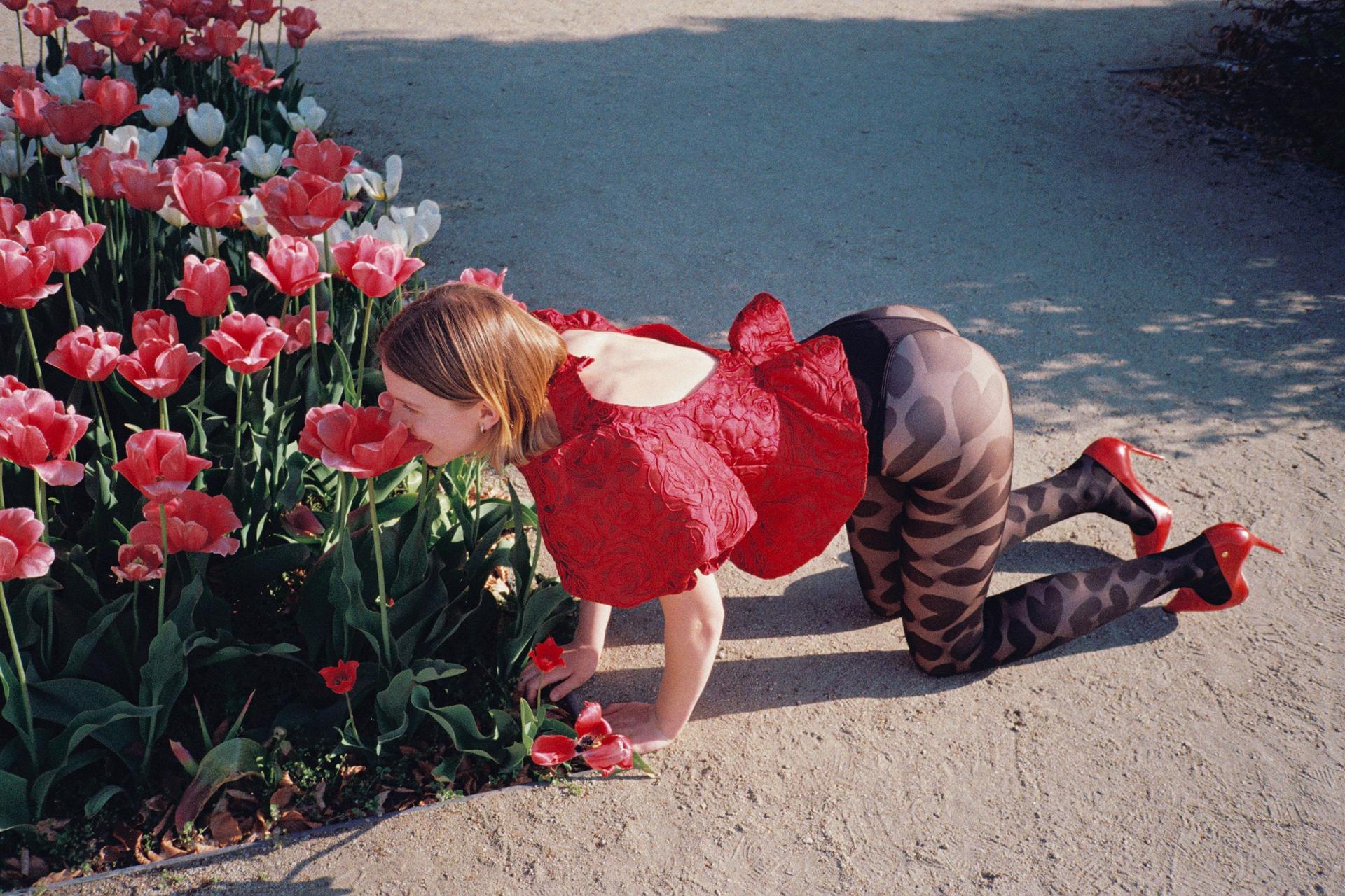 Tulipany