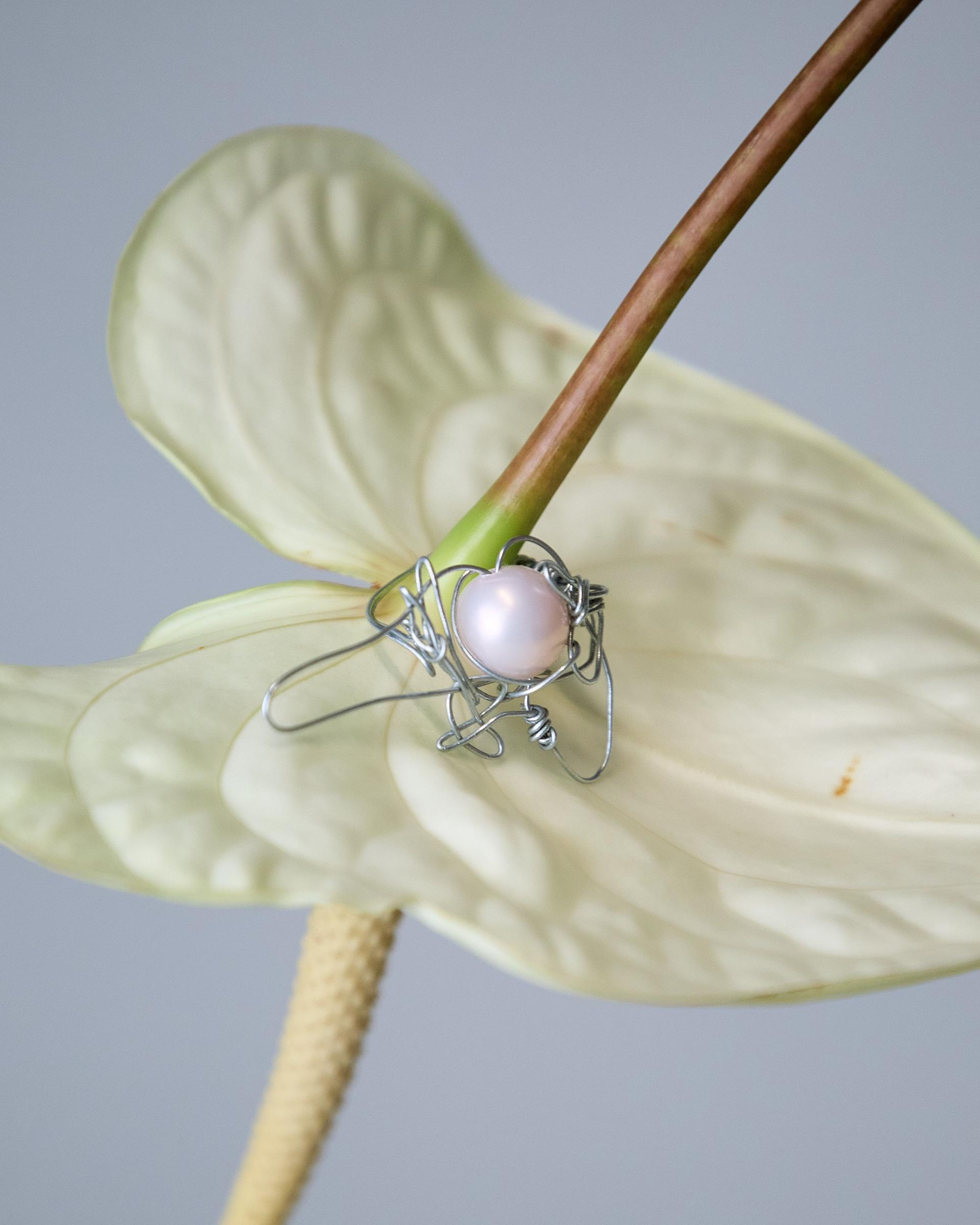 mashatretring on a flower