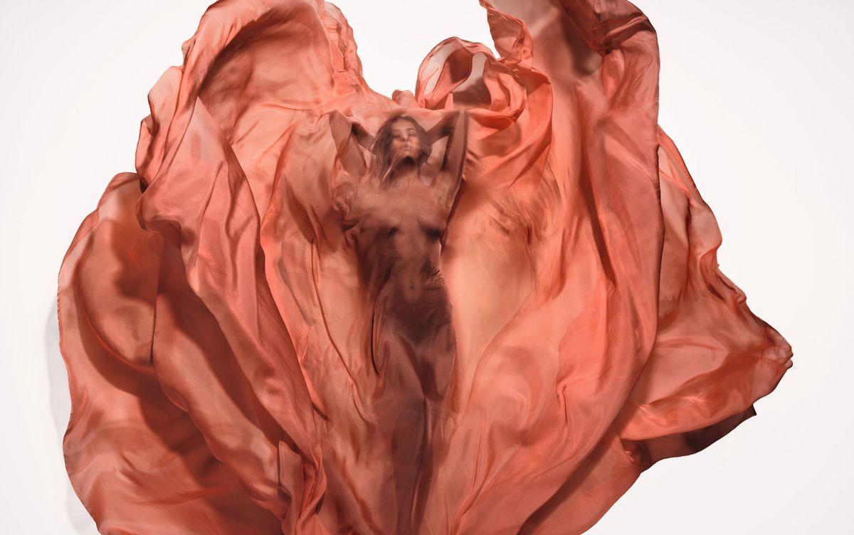 fot. materiały prasowe