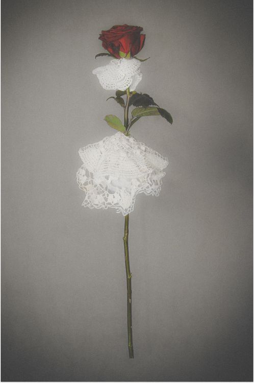Kryspin Gołębiowski, "Polska jest Kobietą III", mod. Natalia Kacprzak, Instagram: @golebiowskyphotos