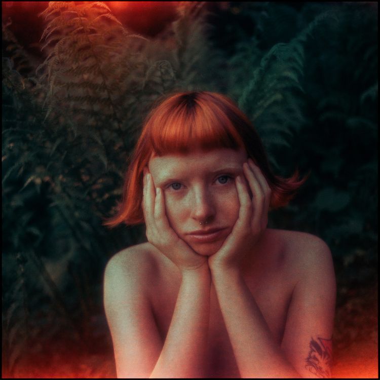 Portrait of a Lady on Fire