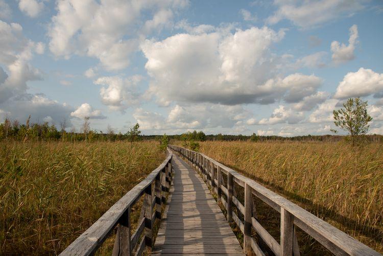 Poleski Park Narodowy
