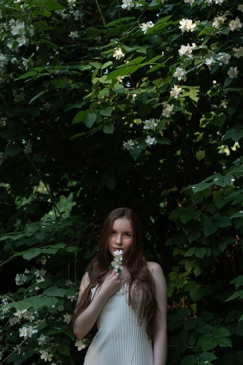 Jaśmin, Model: IG @sofya.lazovskaya