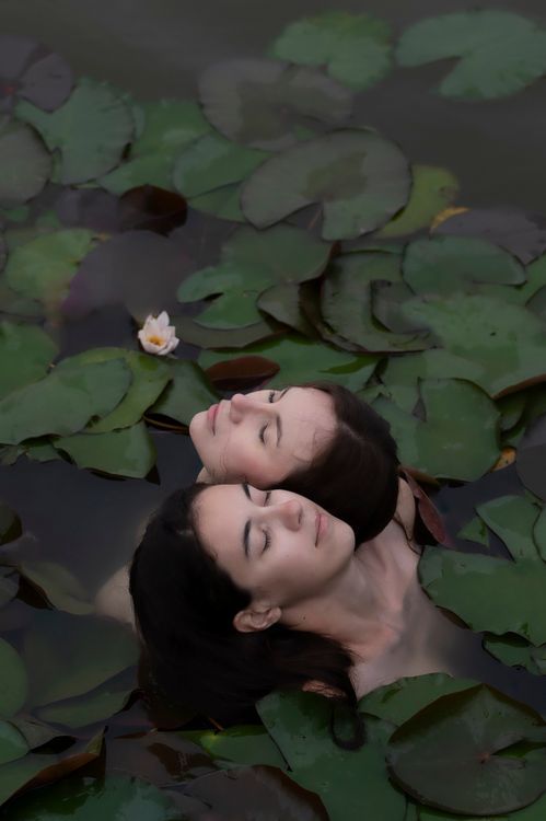 Wild Harmony