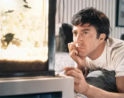 „Absolwent” wraca do kin. Dustin Hoffman, pani Robinson i najsmutniejsza jazda autobusem w historii kina