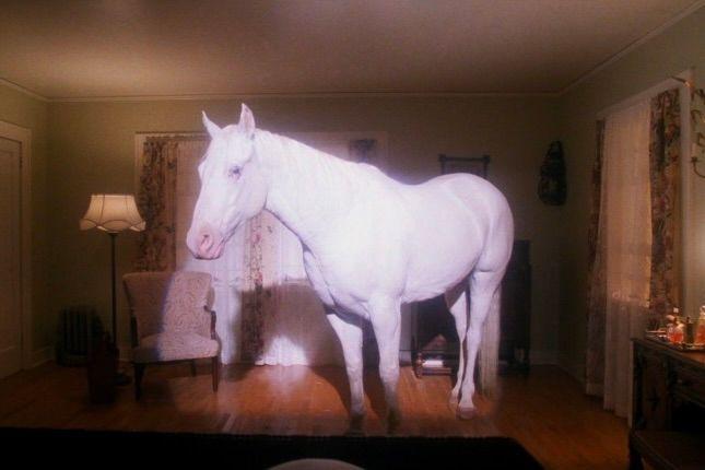 Rok konia. Czego możemy spodziewać się w 2026?