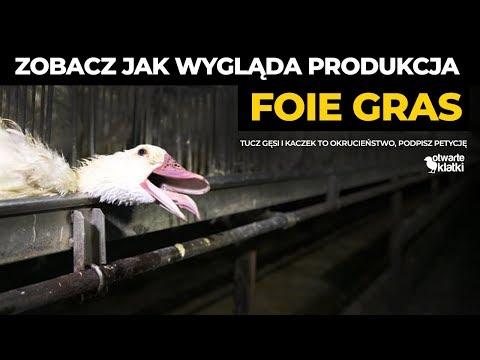 Miniatura wideo YouTube