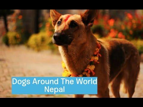 Miniatura wideo YouTube