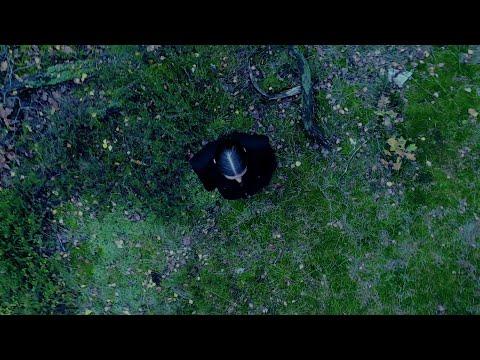 Miniatura wideo YouTube