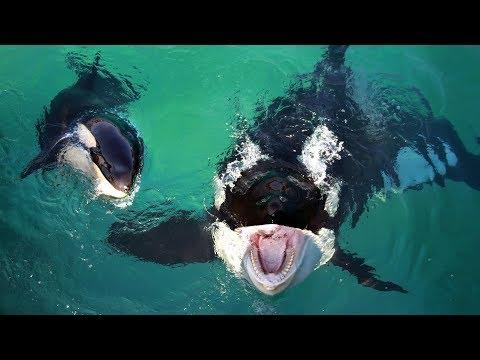 Miniatura wideo YouTube