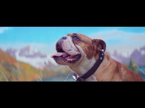 Miniatura wideo YouTube