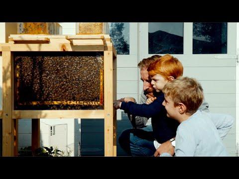 Miniatura wideo YouTube