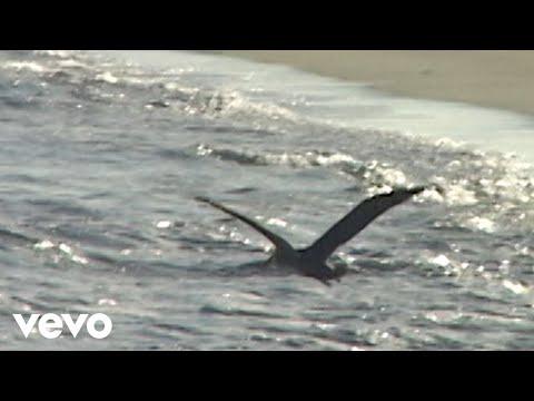 Miniatura wideo YouTube