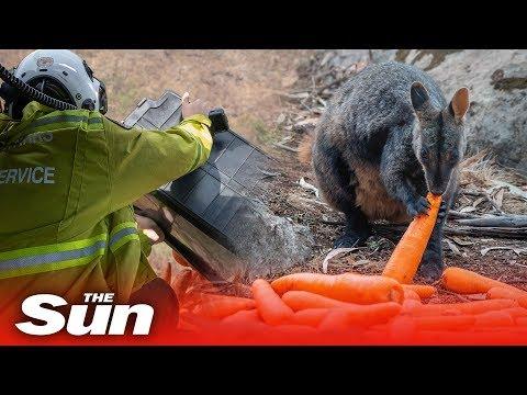 Miniatura wideo YouTube