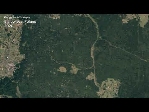 Miniatura wideo YouTube