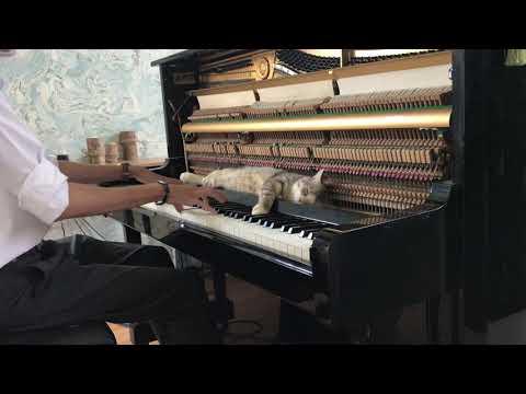 Miniatura wideo YouTube