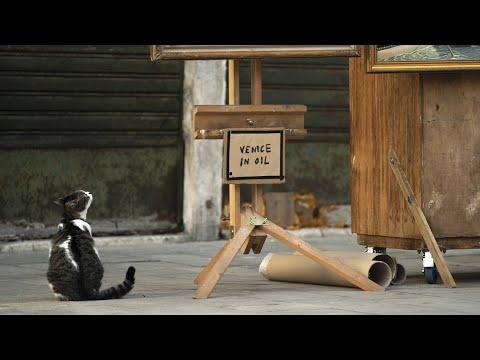 Miniatura wideo YouTube