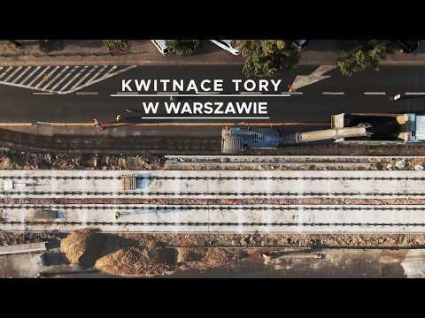 Miniatura wideo YouTube