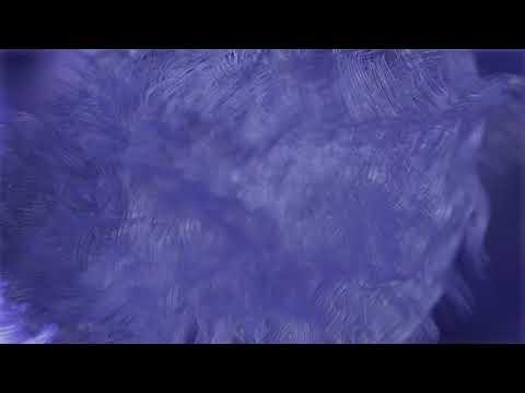 Miniatura wideo YouTube