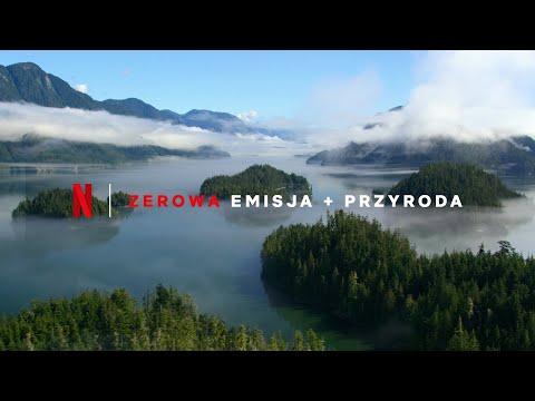 Miniatura wideo YouTube