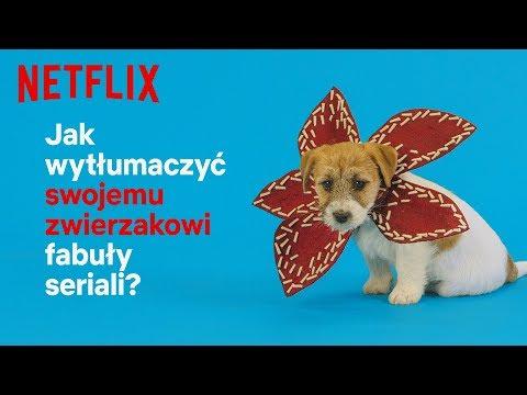 Miniatura wideo YouTube