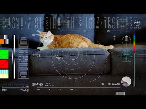 Miniatura wideo YouTube