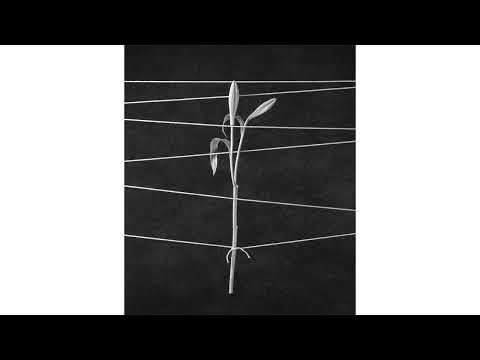 Miniatura wideo YouTube