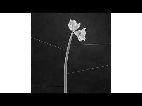 Miniatura wideo YouTube