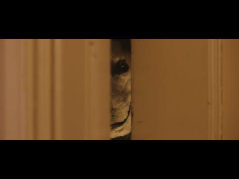 Miniatura wideo YouTube