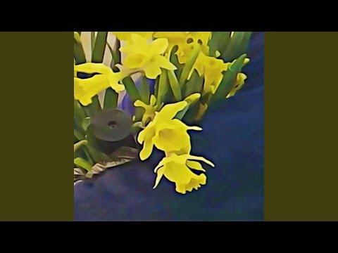 Miniatura wideo YouTube