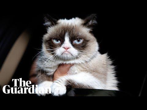 Miniatura wideo YouTube