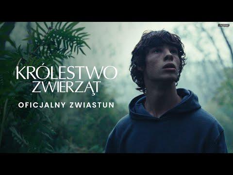 Miniatura wideo YouTube