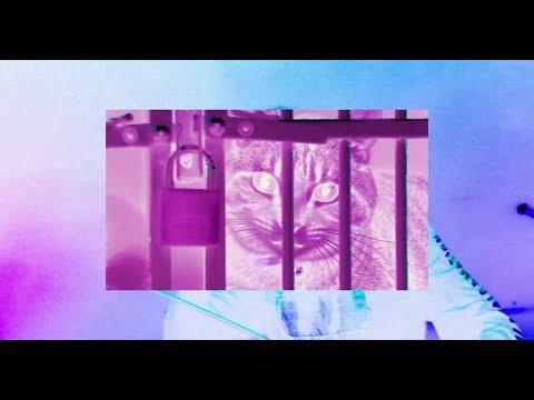 Miniatura wideo YouTube