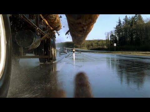 Miniatura wideo YouTube