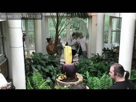 Miniatura wideo YouTube