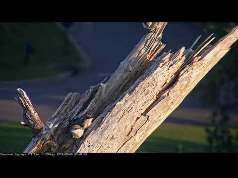 Miniatura wideo YouTube