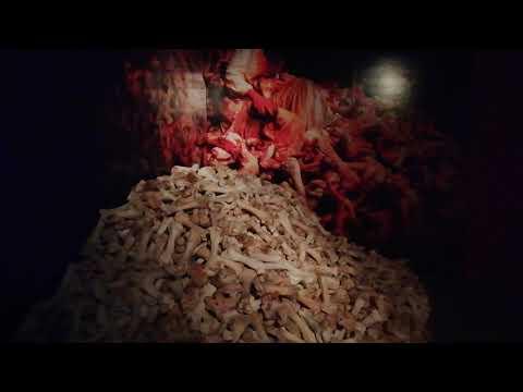 Miniatura wideo YouTube