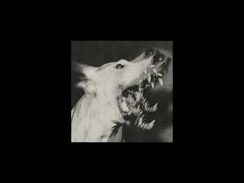 Miniatura wideo YouTube